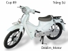Xe Máy Dealim Cub 89 50cc