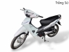 Xe Máy Wave RS 50cc Motor Thailana