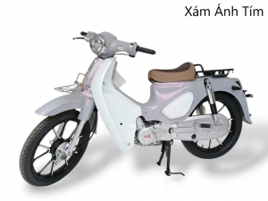 Xe Máy Dealim Cub 89 50cc