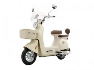 Xe Đạp Điện Tailg JS50