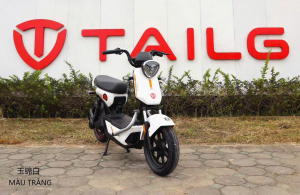 Xe Đạp Điện Tailg GX30