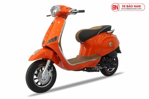 Xe Ga 50cc Ally A1S