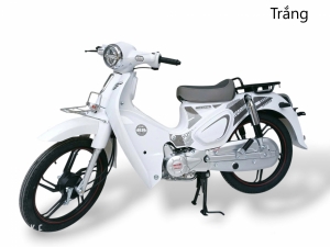 Xe Máy Motor ThailanA Cub 88 50cc (Đúc Đĩa)
