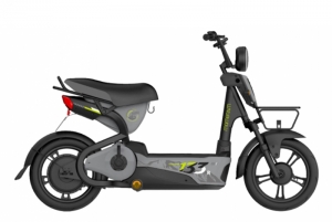 Xe Điện GIANT M133R
