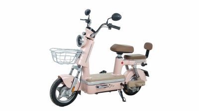 Xe Đạp Điện Espero Bejoy (Pin Lithium)