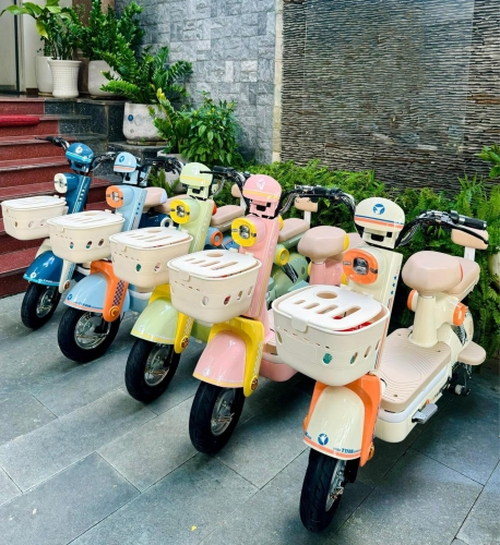 Xe Đạp Điện Neling 2025
