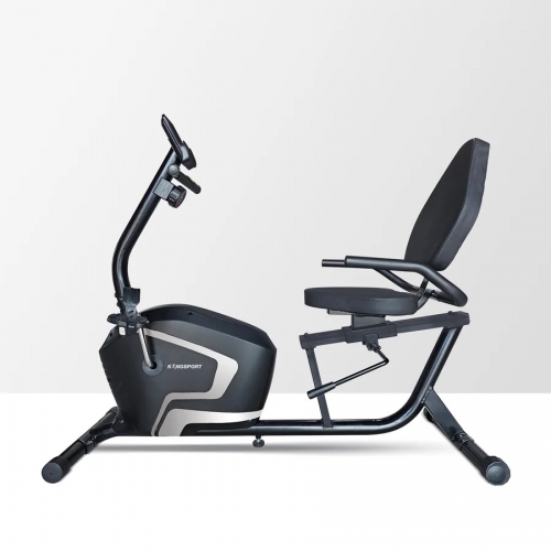 XE ĐẠP TẬP KINGSPORT LOVE E-11