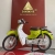 Xe Máy Ally Cub LE 50cc (Vành Nan)