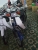 Xe Máy Cub 82 50cc Việt Thái