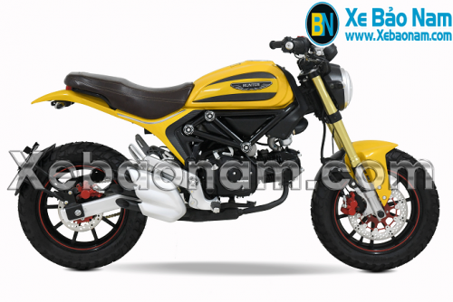 Ducati scrambler 110cc top