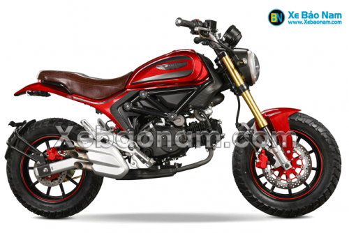 Xe Máy Ducati Scrambler 110Cc Chính Hãng | Xe Bảo Nam